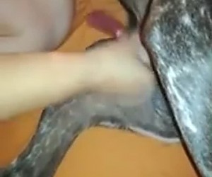수간야동 : 다 벗고 개한데 얼른 일어서라고 손으로 개 자지 만져주는 여주인