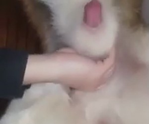 수간야동 : 개 자지를 손으로 만져서 사정하게 도와주는 여주인