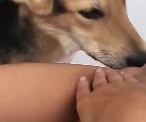 수간야동 : 와이프의 보지를 남편보다 더 열심히 빨아주는 강아지