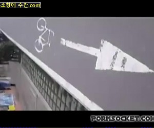 수간야동 : 레이저 위험