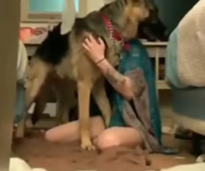 수간야동 : 참지 못하는 개는 그냥 걸레년의 보지에 대고 박아버립니다