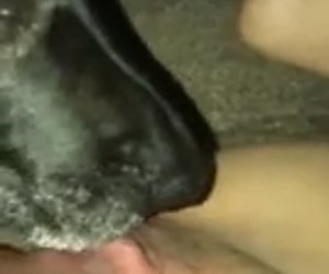 수간야동 : 우리 집 개는 아내의 보지물을 좋아합니다