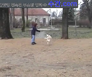수간야동 : 개 정액으로 가득찬 아내의 보지