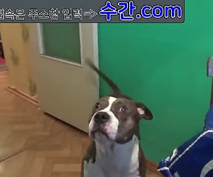 수간야동 : 그녀의 첫번째 수간섹스 경험을 공유합니다