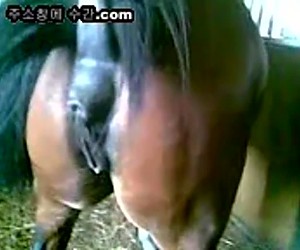 수간야동 : 말 우유를 삼키다