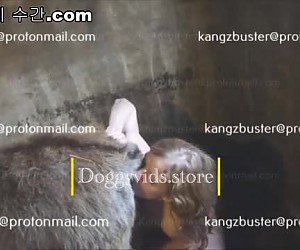 수간야동 : 금발 여성은 엉덩이와 말 질내 사정을 냄새 맡는다